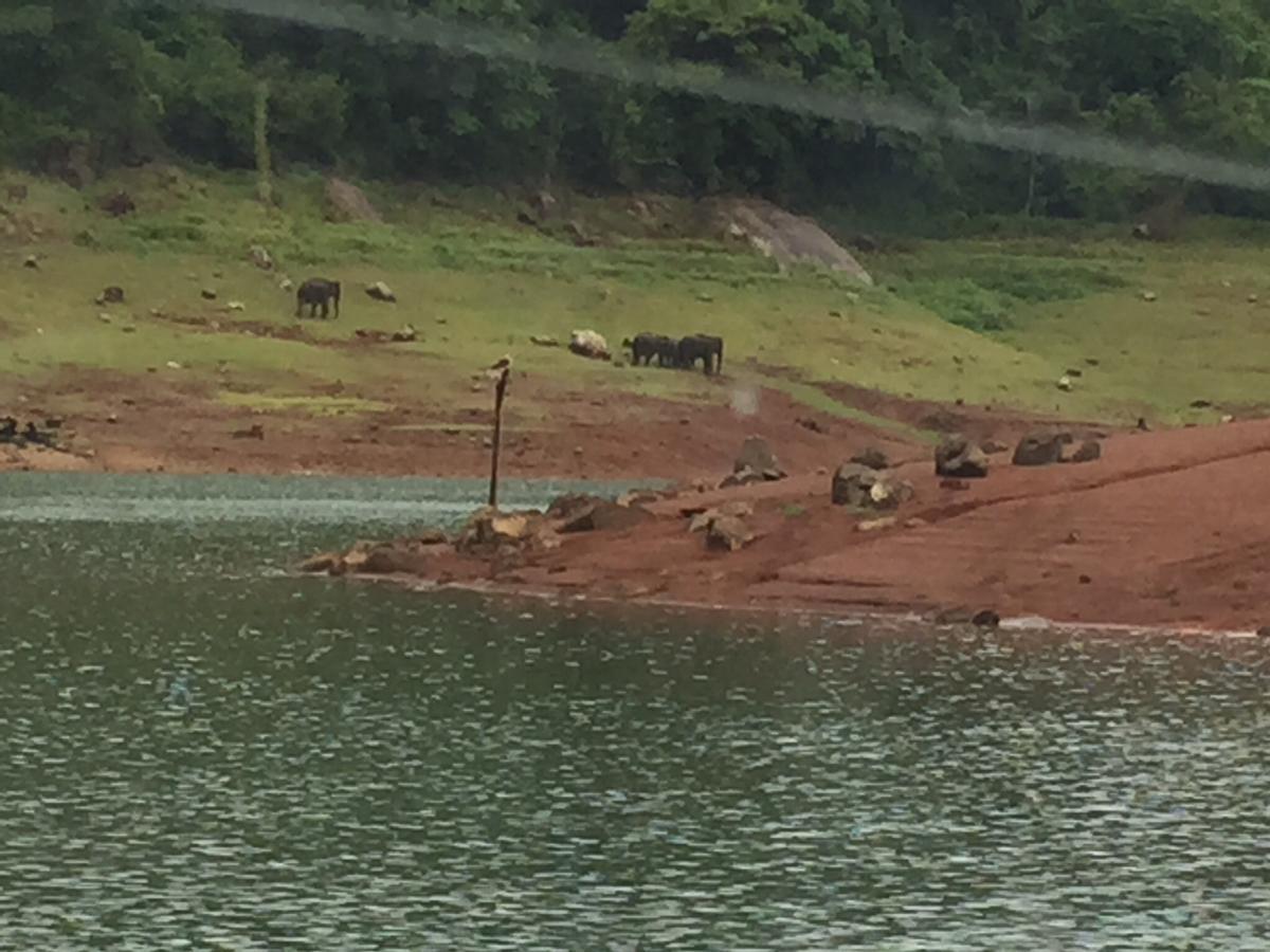 Kandamath Heritage Resort Kolattupuzha ภายนอก รูปภาพ